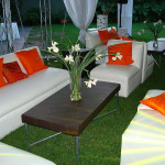 DSC00399-(9)